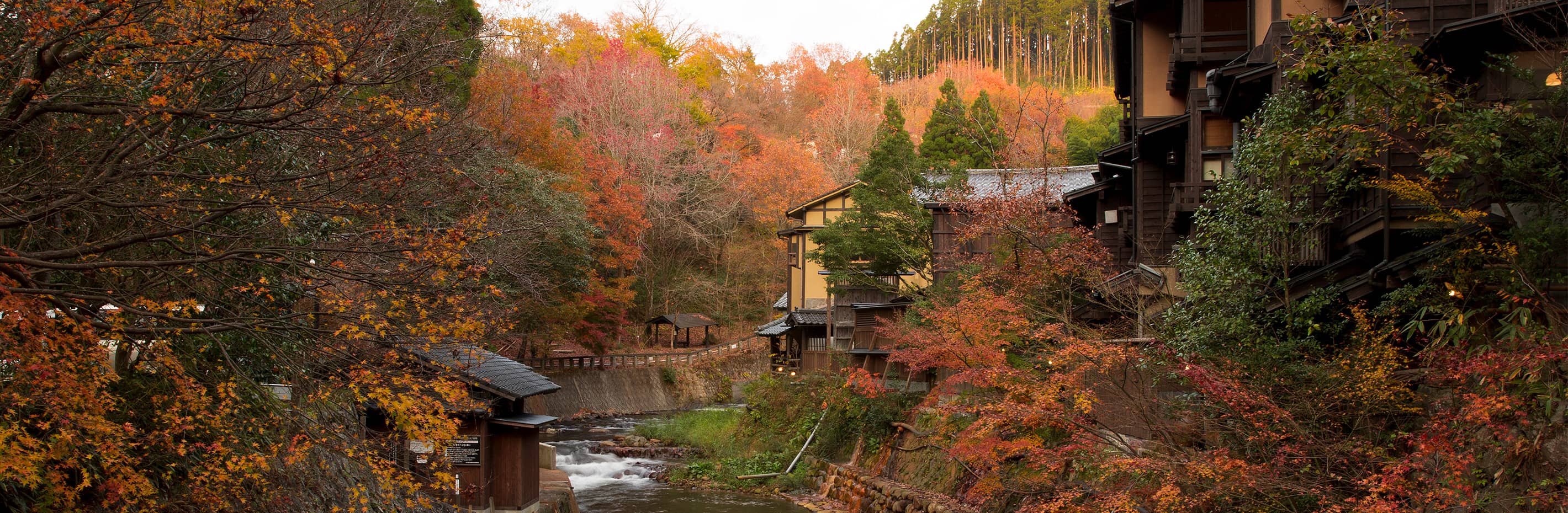 黒川温泉街 温泉 公式 瀬の本高原ホテル